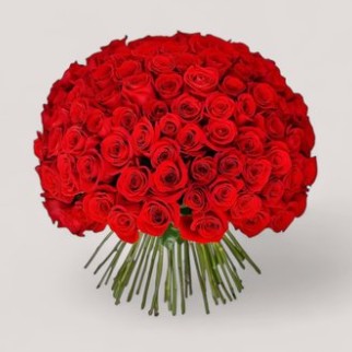 101 Red Kiss